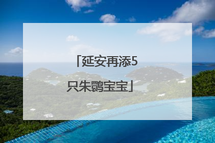 延安再添5只朱鹮宝宝