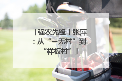 强农先锋丨张萍：从“三无村”到“样板村”