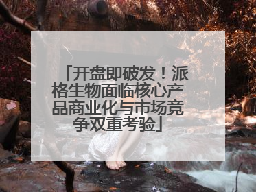 开盘即破发！派格生物面临核心产品商业化与市场竞争双重考验