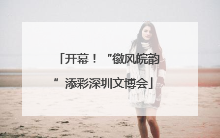 开幕！“徽风皖韵”添彩深圳文博会