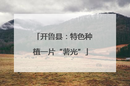 开鲁县：特色种植一片“薯光”
