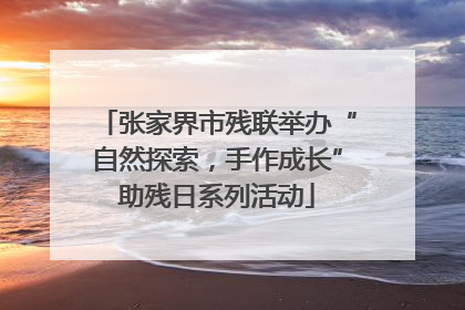 张家界市残联举办“自然探索，手作成长”助残日系列活动