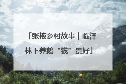 张掖乡村故事｜临泽林下养鹅“钱”景好