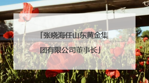 张晓海任山东黄金集团有限公司董事长