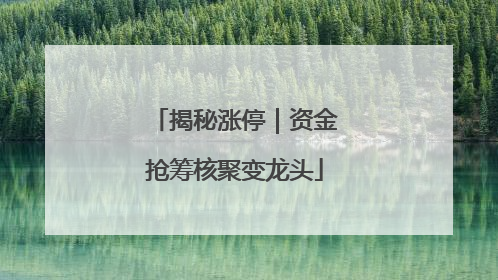 揭秘涨停｜资金抢筹核聚变龙头