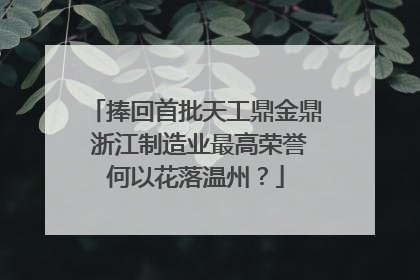捧回首批天工鼎金鼎 浙江制造业最高荣誉何以花落温州？