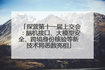 探营第十一届上交会：脑机接口、大模型安全、跨境身份核验等新技术将悉数亮相