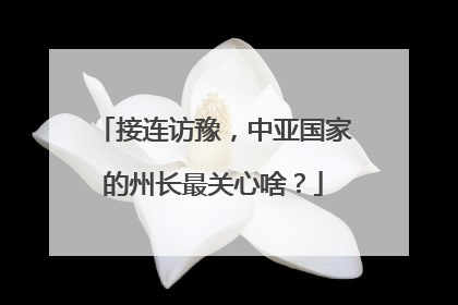 接连访豫，中亚国家的州长最关心啥？