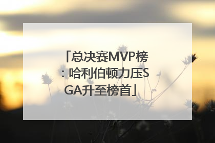 总决赛MVP榜：哈利伯顿力压SGA升至榜首