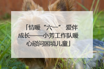 情暖“六一” 爱伴成长——小芳工作队暖心慰问困境儿童
