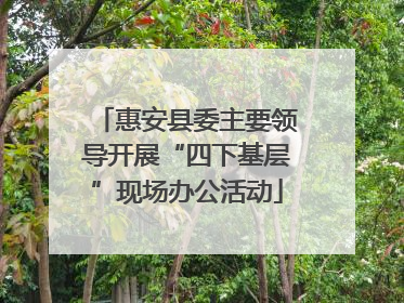 惠安县委主要领导开展“四下基层”现场办公活动