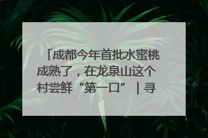 成都今年首批水蜜桃成熟了，在龙泉山这个村尝鲜“第一口”｜寻找和美乡村推荐官