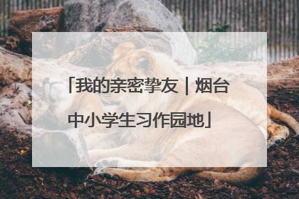 我的亲密挚友｜烟台中小学生习作园地