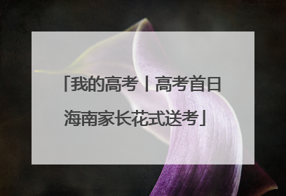 我的高考丨高考首日 海南家长花式送考
