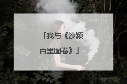 我与《沙颍百里图卷》