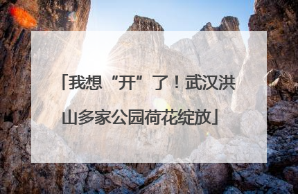 我想“开”了！武汉洪山多家公园荷花绽放