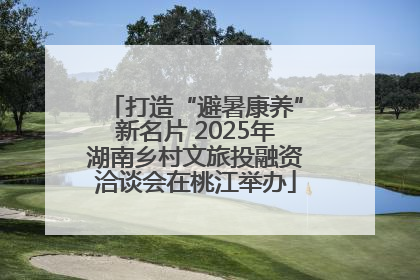 打造“避暑康养”新名片 2025年湖南乡村文旅投融资洽谈会在桃江举办