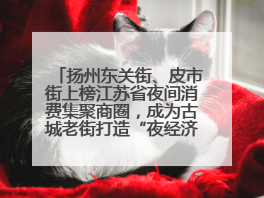 扬州东关街、皮市街上榜江苏省夜间消费集聚商圈，成为古城老街打造“夜经济”的样本