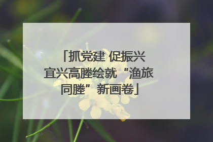 抓党建 促振兴 宜兴高塍绘就“渔旅同塍”新画卷