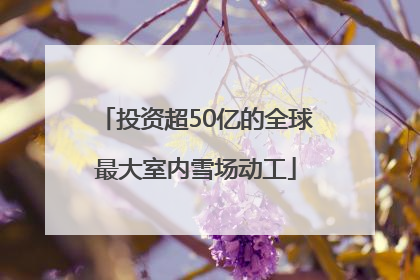 投资超50亿的全球最大室内雪场动工