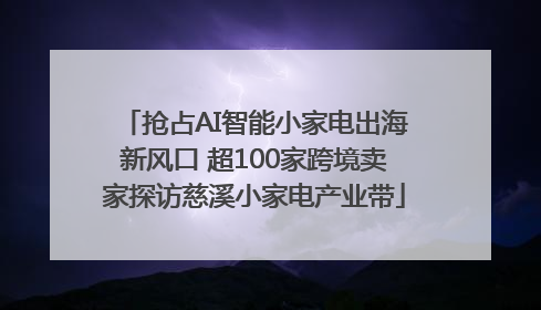 抢占AI智能小家电出海新风口 超100家跨境卖家探访慈溪小家电产业带