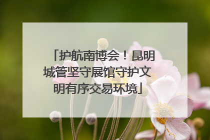 护航南博会！昆明城管坚守展馆守护文明有序交易环境
