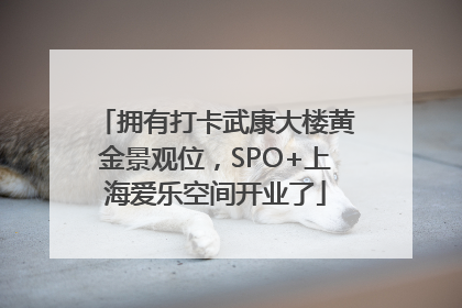 拥有打卡武康大楼黄金景观位，SPO+上海爱乐空间开业了