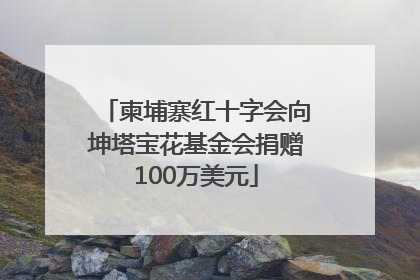 柬埔寨红十字会向坤塔宝花基金会捐赠100万美元
