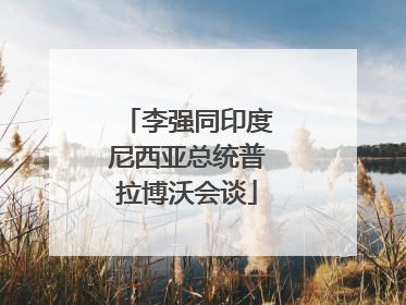 李强同印度尼西亚总统普拉博沃会谈