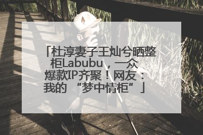 杜淳妻子王灿兮晒整柜Labubu，一众爆款IP齐聚！网友：我的 “梦中情柜”