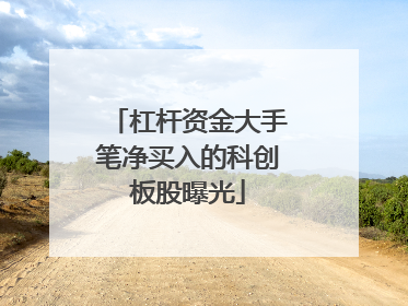 杠杆资金大手笔净买入的科创板股曝光