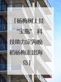 杨梅树上挂“宝瓶” 科技助力定海晚稻杨梅走出海岛