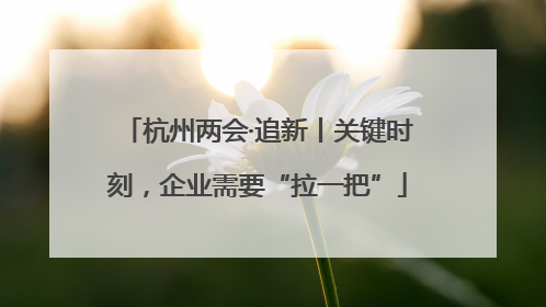 杭州两会·追新丨关键时刻，企业需要“拉一把”