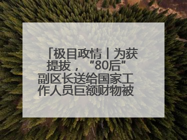 极目政情丨为获提拔，“80后”副区长送给国家工作人员巨额财物被“双开”