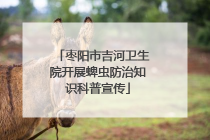枣阳市吉河卫生院开展蜱虫防治知识科普宣传