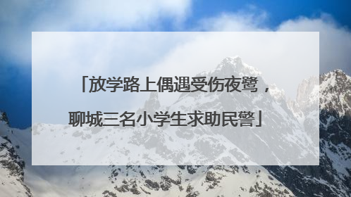 放学路上偶遇受伤夜鹭，聊城三名小学生求助民警