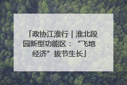 政协江淮行｜淮北段园新型功能区：“飞地经济”拔节生长