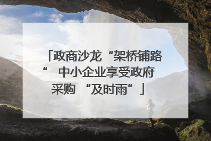 政商沙龙“架桥铺路” 中小企业享受政府采购 “及时雨”