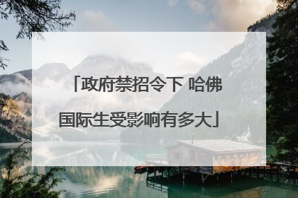 政府禁招令下 哈佛国际生受影响有多大