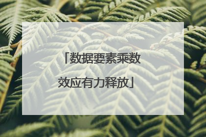 数据要素乘数效应有力释放