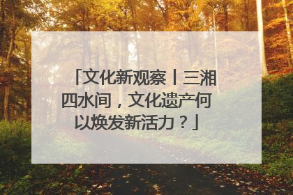 文化新观察丨三湘四水间，文化遗产何以焕发新活力？