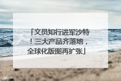 文员知行进军沙特！三大产品齐落地，全球化版图再扩张