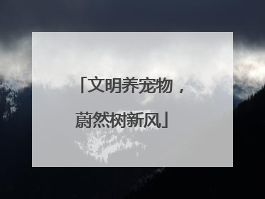 文明养宠物，蔚然树新风