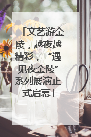 文艺游金陵，越夜越精彩，“遇见夜金陵”系列展演正式启幕