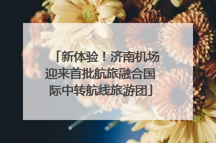 新体验！济南机场迎来首批航旅融合国际中转航线旅游团