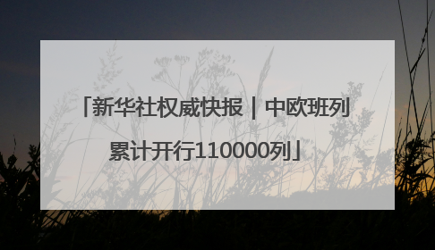 新华社权威快报｜中欧班列累计开行110000列