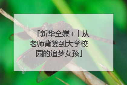 新华全媒+丨从老师背篓到大学校园的追梦女孩