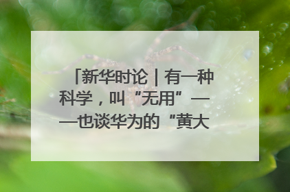 新华时论｜有一种科学，叫“无用”——也谈华为的“黄大年茶思屋”