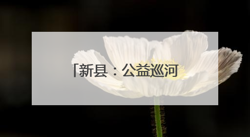 新县：公益巡河守护幸福河湖