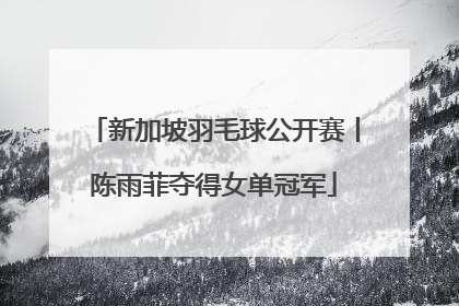 新加坡羽毛球公开赛丨陈雨菲夺得女单冠军